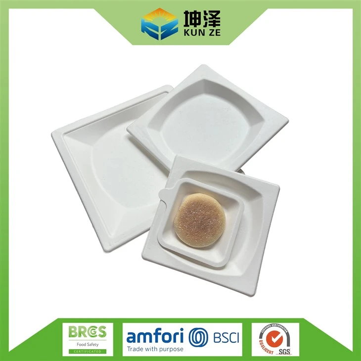 Biodegradable Sugarcane Plates