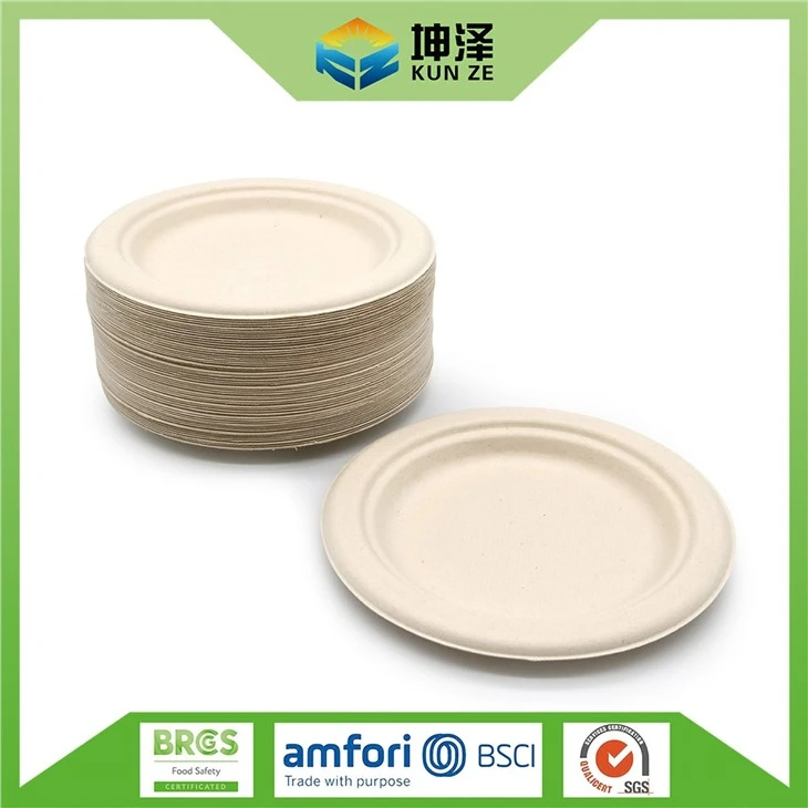 Environmentally Friendly Disposable Plates