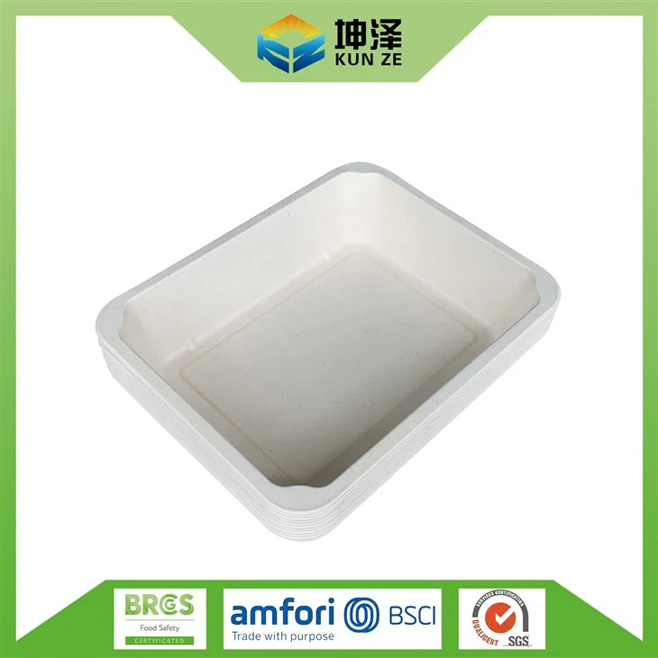 Sugarcane Bagasse Containers3