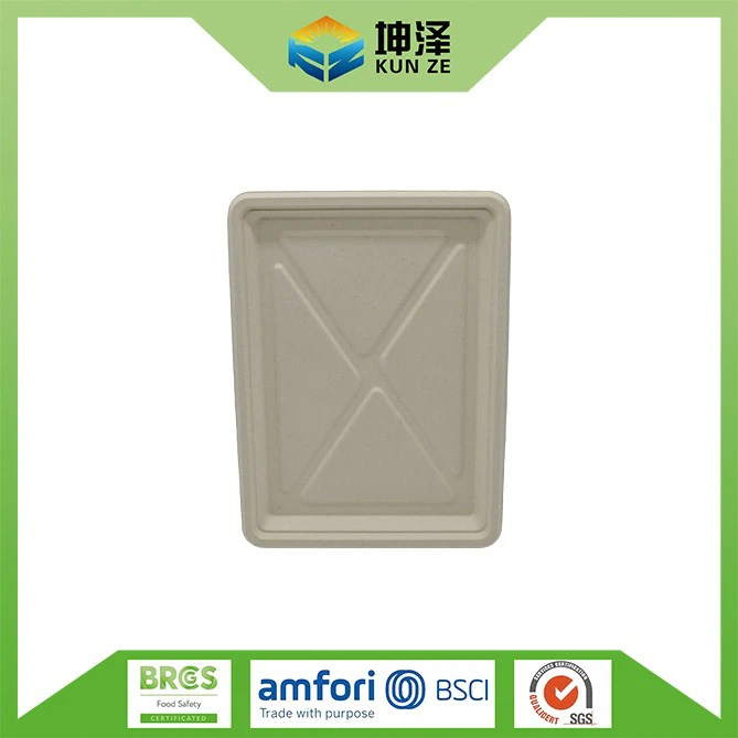 Bagasse Disposable Serving Tray