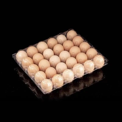 Cartons d'ous de plàstic